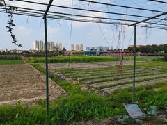 -新地休闲农场