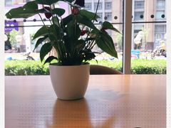 -奈雪的茶(中海环宇荟店)
