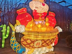 -南宫五洲植物乐园