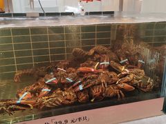 -丰卓会海鲜自助(中润大道店)