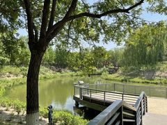 -大兴滨河森林公园