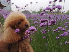 -杭州城北体育公园