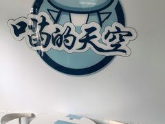 -喵的天空名猫咖啡馆·撸猫·猫舍·用品