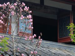 -青羊宫
