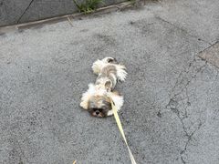 -龙湖重庆时代天街