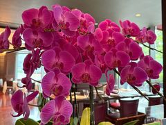 -Wolfgang’s Steakhouse 沃夫冈牛排馆(上海白玉兰广场店)