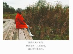 -长兴太湖图影湿地文化园