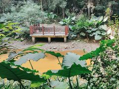 -天鹿湖森林公园
