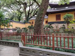 -普陀山风景名胜区-法雨禅寺