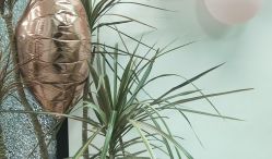 -杨丹国际美学肌研所