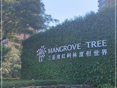 -三亚湾红树林度假世界(木棉酒店)