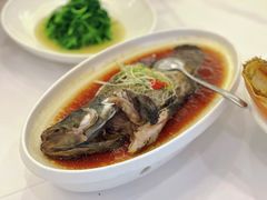 广式蒸老虎斑-海景壹号大酒店(滨湖店)