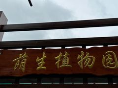 -广东茂名森林公园