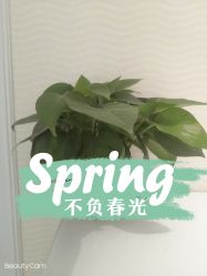 -SILKTONE诗丽堂美容