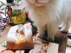 -T11生鲜超市(朝阳公园店)