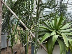 -南山植物园