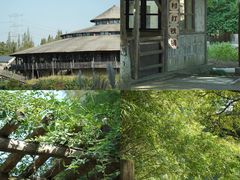 -乌村