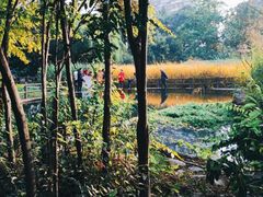-成都市活水公园