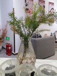 -圣提生活馆