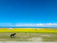 -青海湖国家重点风景名胜区