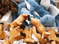 -宜家家居(哈尔滨商场店)