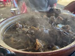 -霞姐屯昌枫木香草鸭店(海螺店)