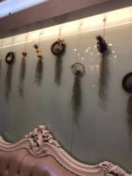 -美丞医疗美容