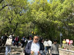 -灵岩山风景区