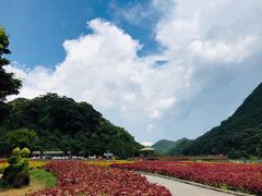 -广州市石门国家森林公园