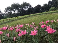 -保利石象湖景区