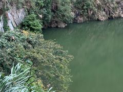 -火炉山森林公园