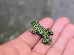 -松花湖风景名胜区