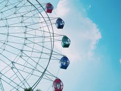-花博汇(知音花月夜)