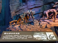 -重庆中国三峡博物馆(重庆博物馆)
