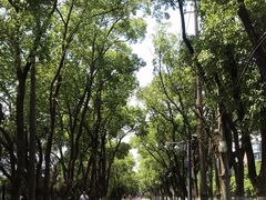 -南昌青山湖风景区