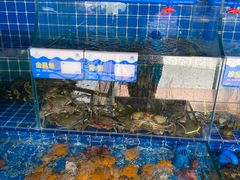 -大厨的餐厅(曾厝垵总店)