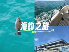 -小猫钓鱼海钓俱乐部(椰梦长廊店)