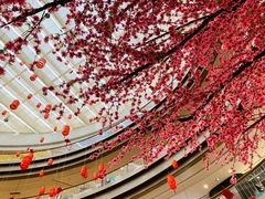 -奥园广场(广州番禺福德路店)