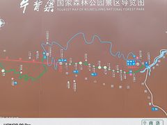 -牛背梁国家森林公园