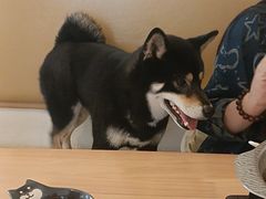 -柴の食堂·日式家庭料理·熊之肆(大学路店)