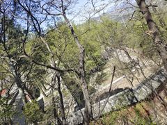 -阳台山自然风景区