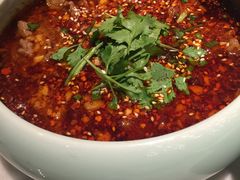 盐府水煮牛肉-雀蓝川菜(奥体广场店)