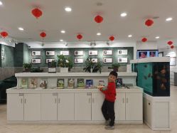 -芳妮豆丁家庭影像馆(宝安店)