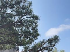 -西安市广仁寺