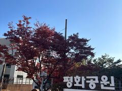 -KAKAO FRIENDS(弘大店)