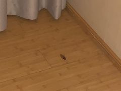 -全季酒店(成都九眼桥店)