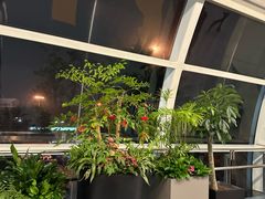 -重庆江北国际机场-T2航站楼