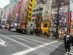 -秋叶原电器街