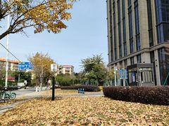 -鱼珠码头(轮渡站)