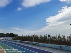 -贡湖湾湿地公园